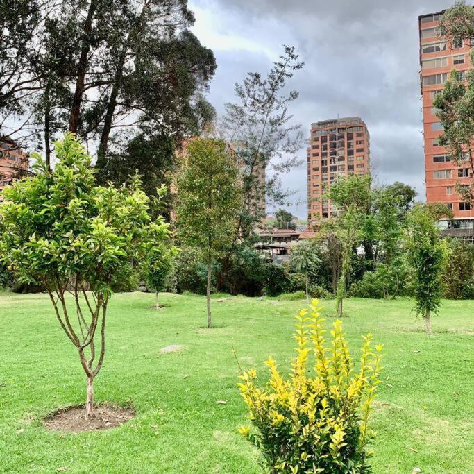 Urban Andes Retreat Lejlighed Cuenca Eksteriør billede